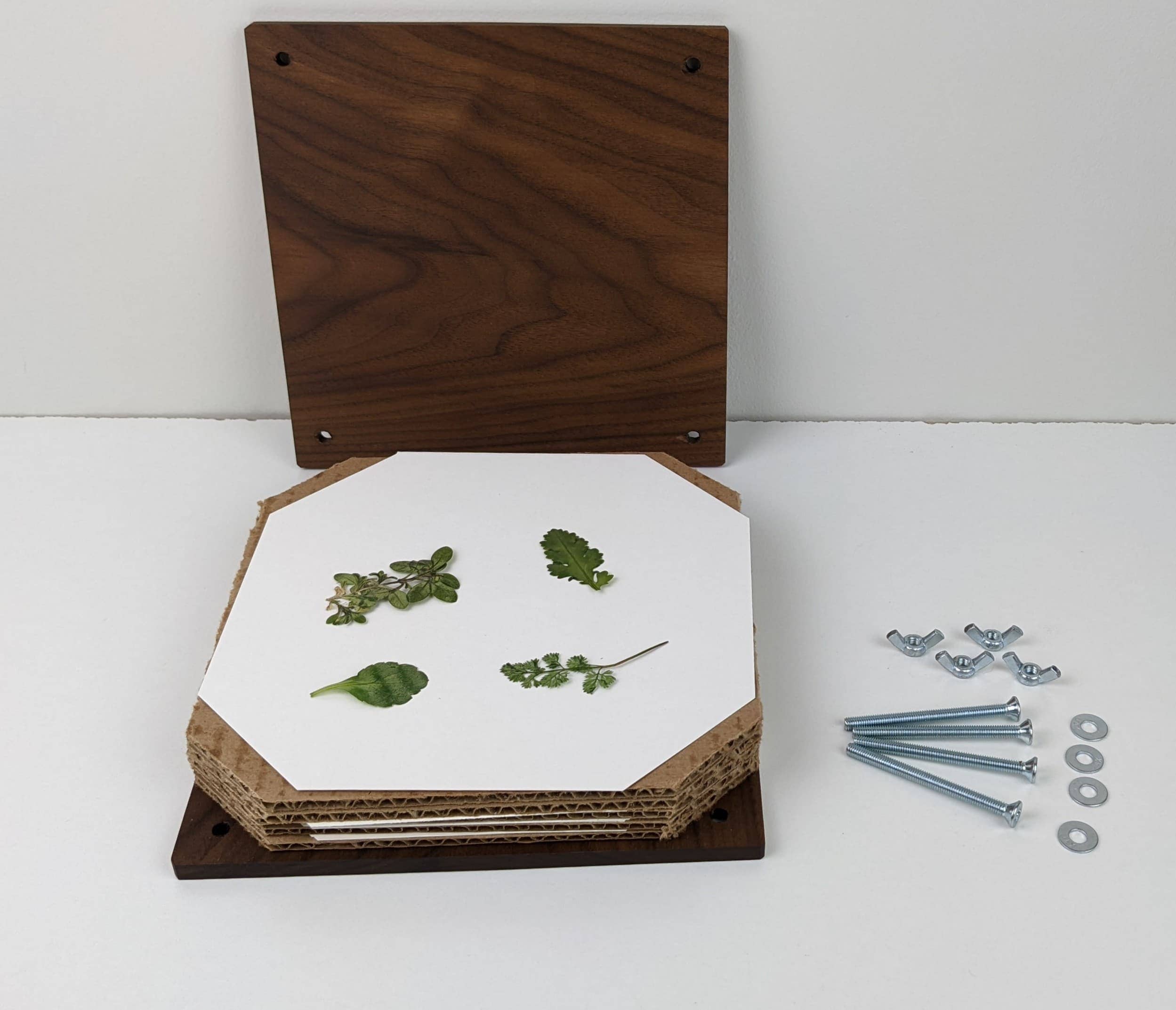 Hardwood Flower Pressing Kit