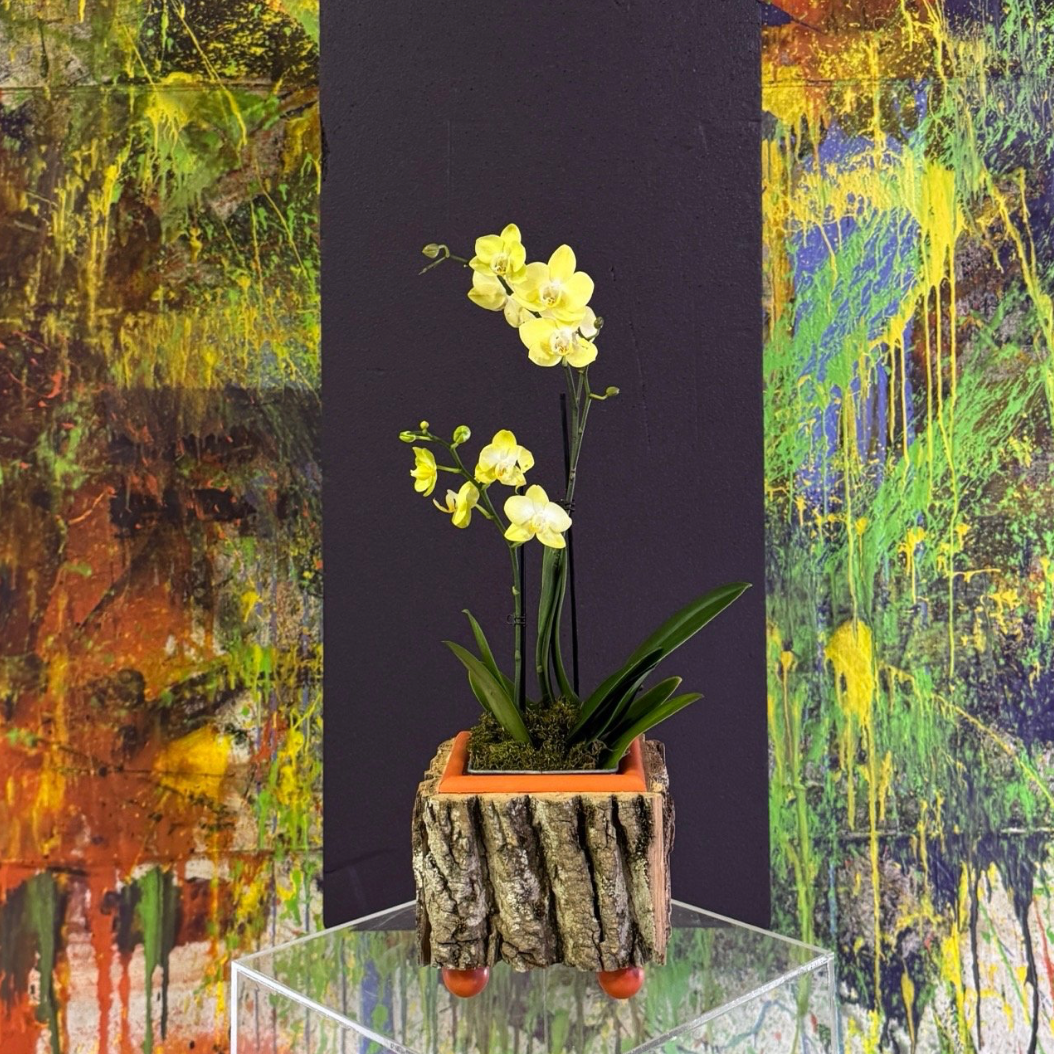 Orange Cache Pot