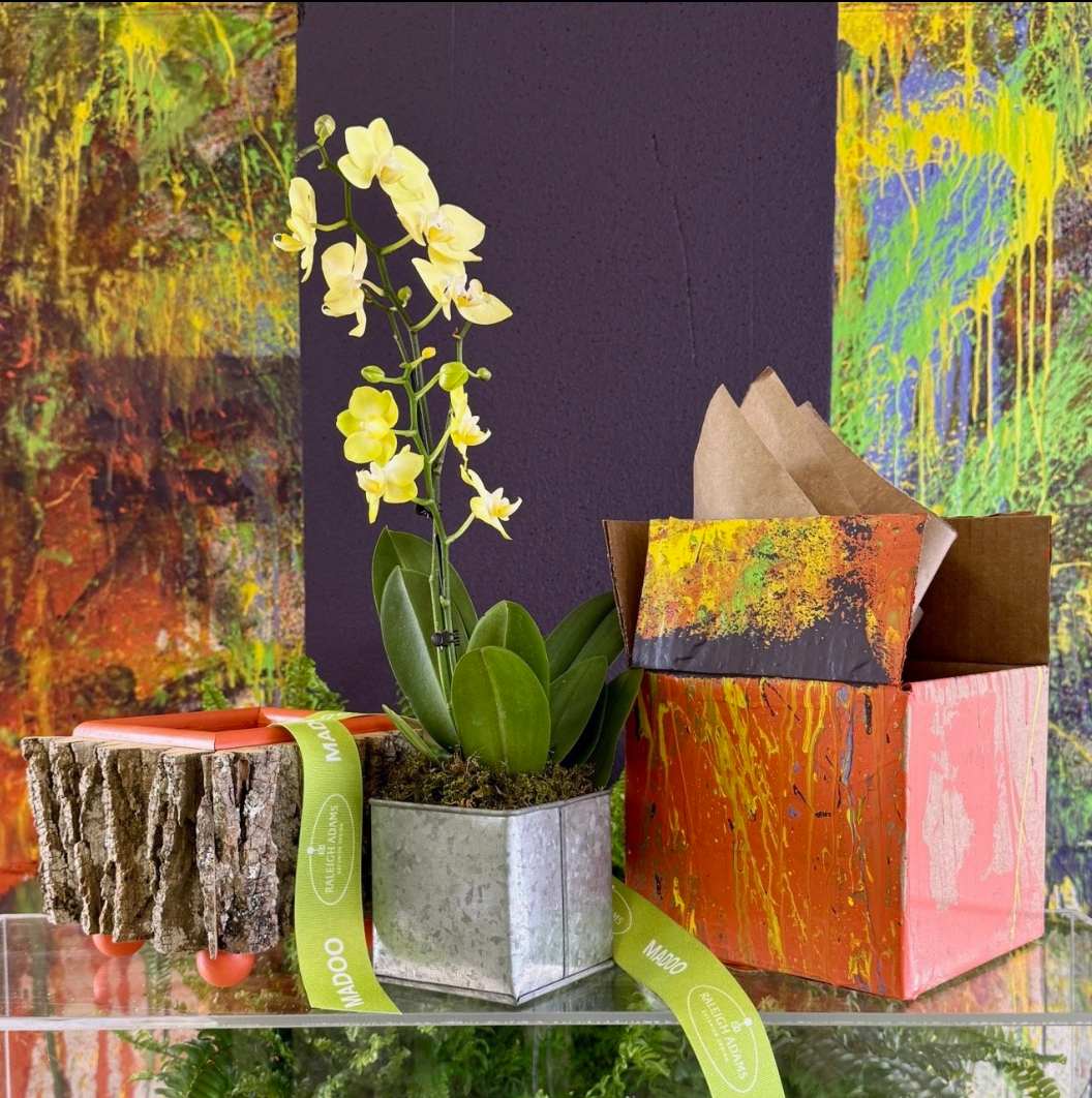 Orange Cache Pot