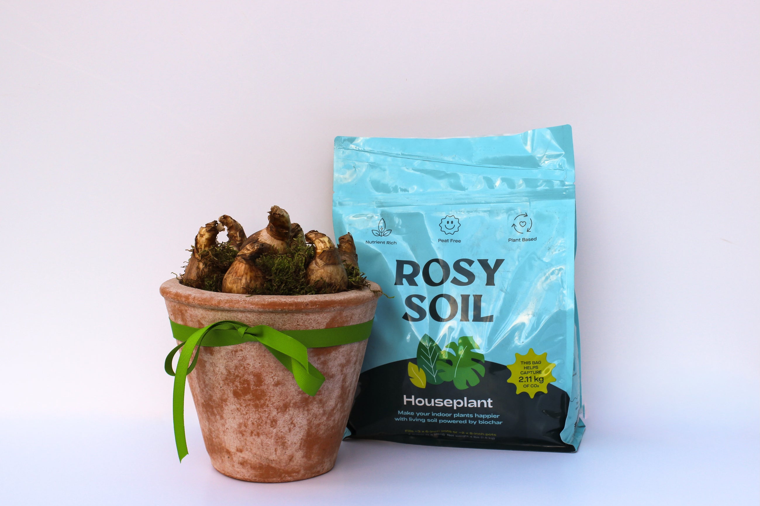 Bulb to Bloom - Holiday Gift Basket