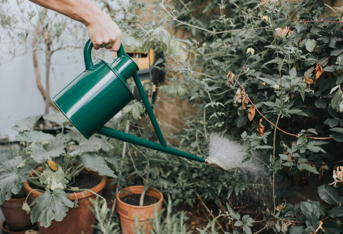 The Warley Fall Green Watering Can