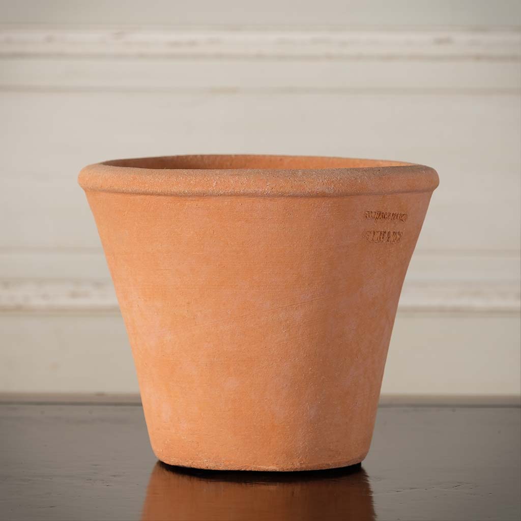 Tom Pot 6"