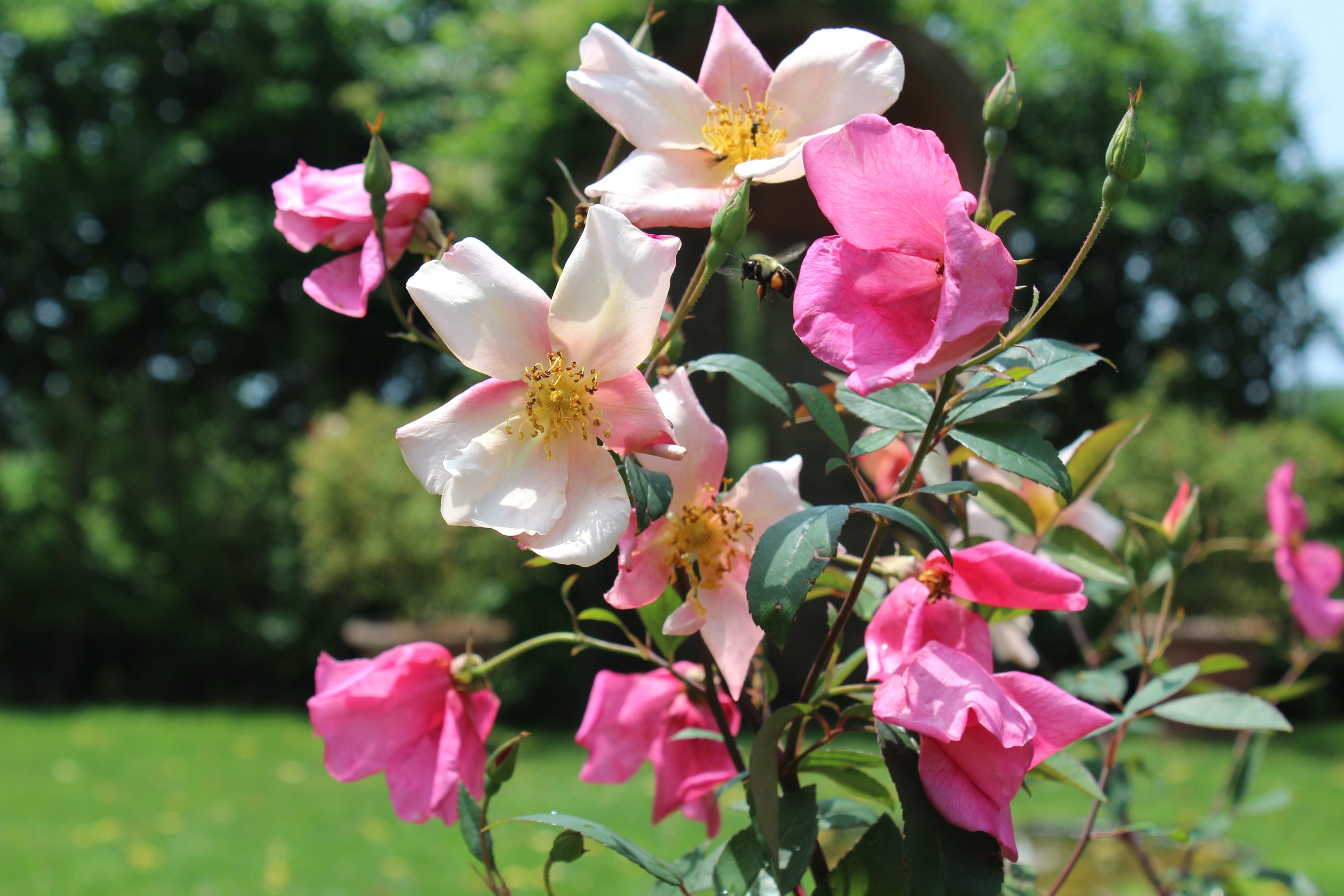 Valentine's Day Gift Guide