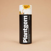 Double Click Snow Puff Cosmos - 50 Seeds