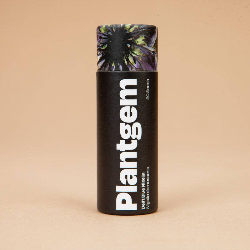 Love in a Mist Delft Blue - 100 Seeds