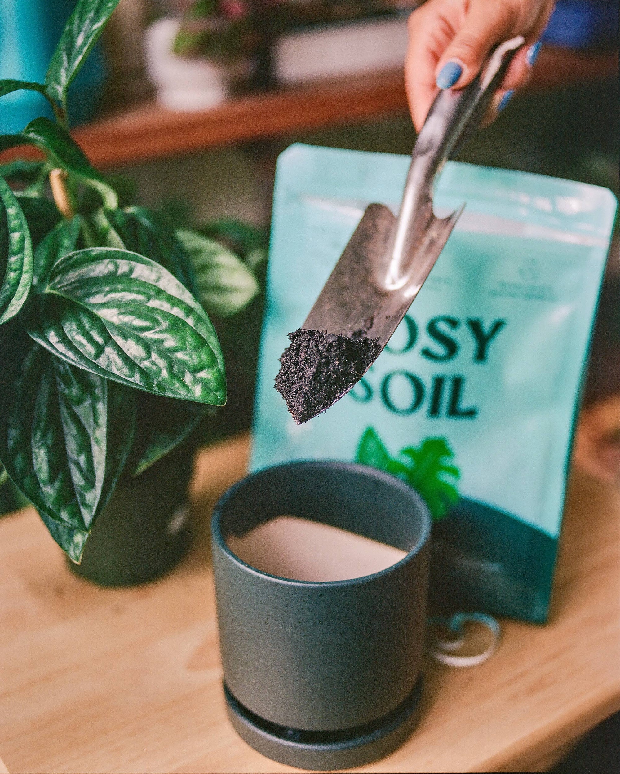 4qt Organic Potting Soil Mix, Indoor, Houseplant & Herbs