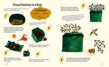 Little Green Fingers – Easy Peasy Gardening Activities