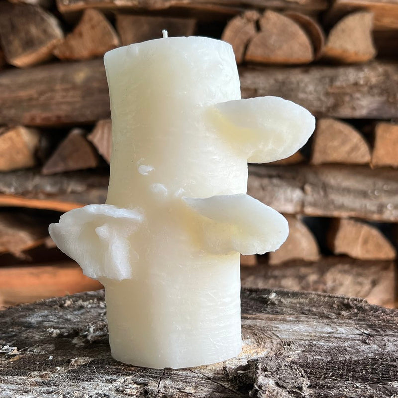 Birch Pillar Candle