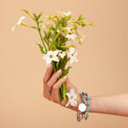 White Perfume Nicotiana - 50 Seeds