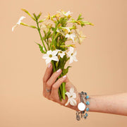 White Perfume Nicotiana - 50 Seeds