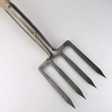 Border Fork
