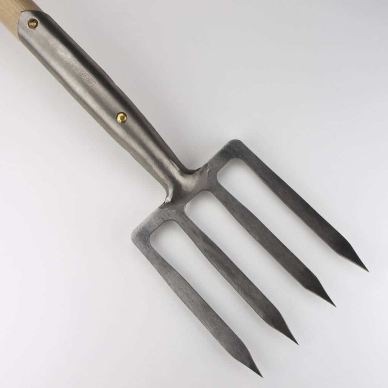 Border Fork
