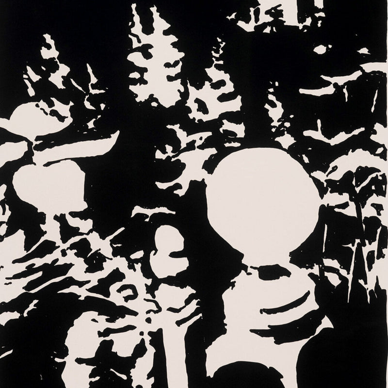 Robert Dash lithograph from Garden Portfolio “July 10 Today, the color of a teaspoon,” 1971 Black