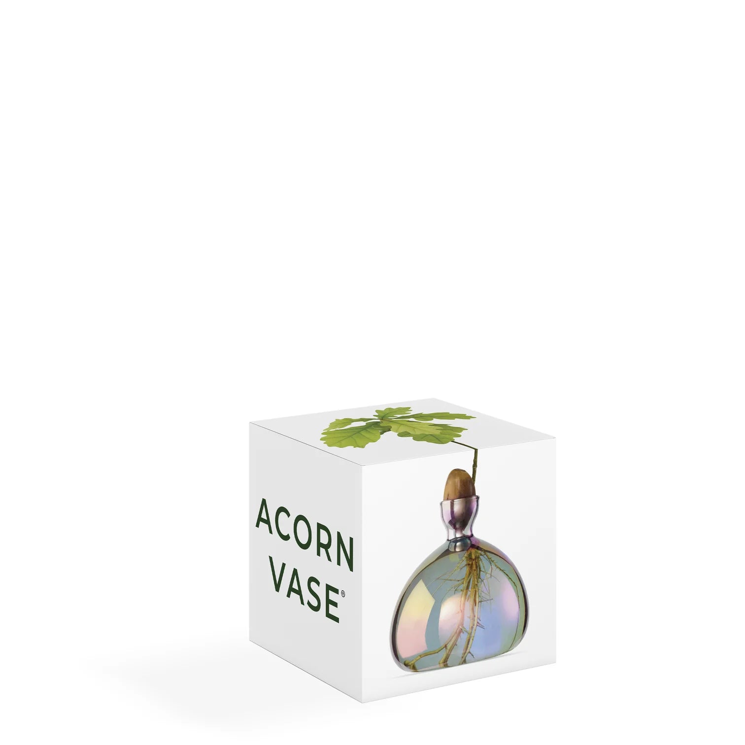 Acorn Vase - Cosmic Vega