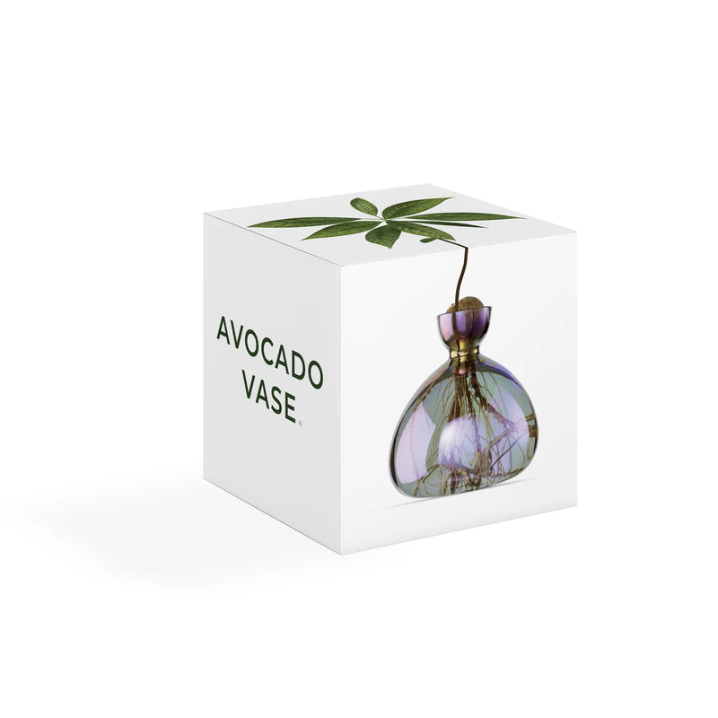 Avocado Vase - Cosmic Vega