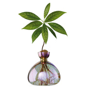 Avocado Vase - Cosmic Vega