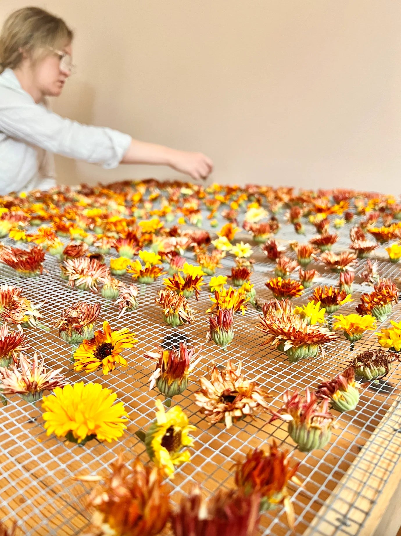Edible Flowers Blend
