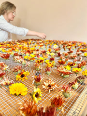 Edible Flowers Blend