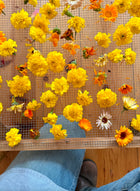 Edible Flowers Blend