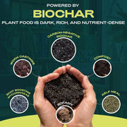 2qt Plant Food