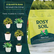 2qt Plant Food