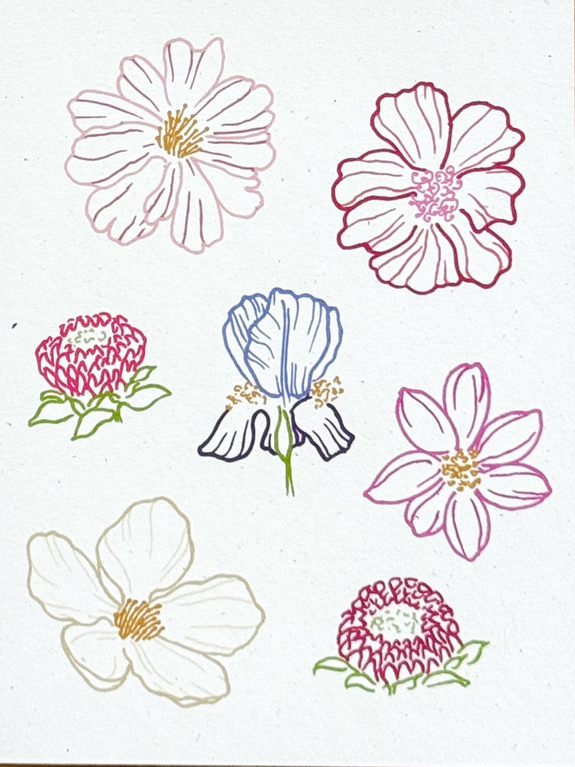 "Madoo Flowers" Greeting Card