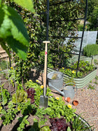 Border Spade with Steps