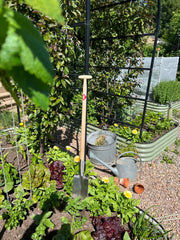 Border Spade with Steps