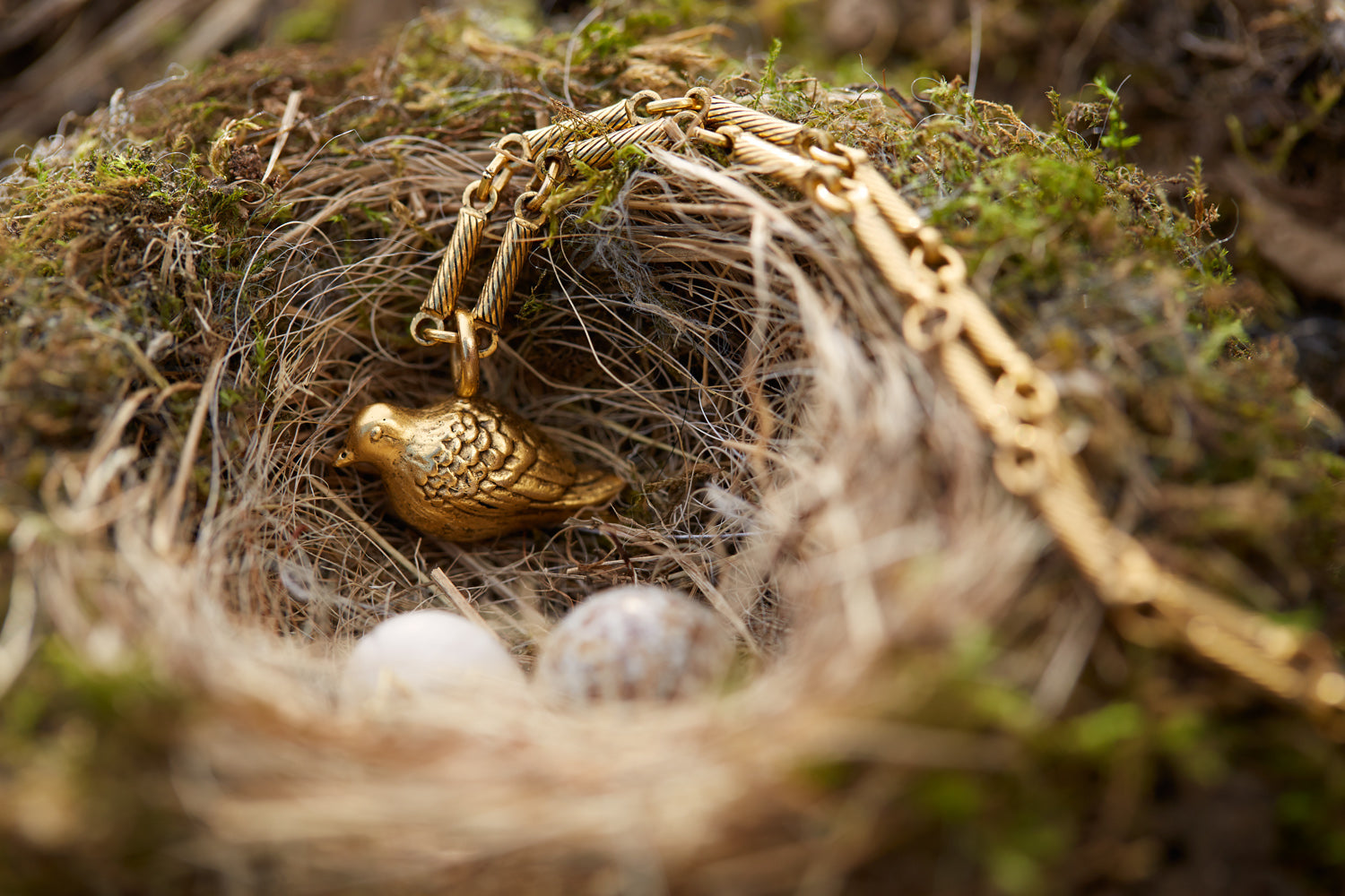 Book Event:  Featuring Jeweler and Gardener Extraordinaire Janet Mavec