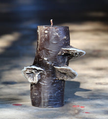 Birch Pillar Candle