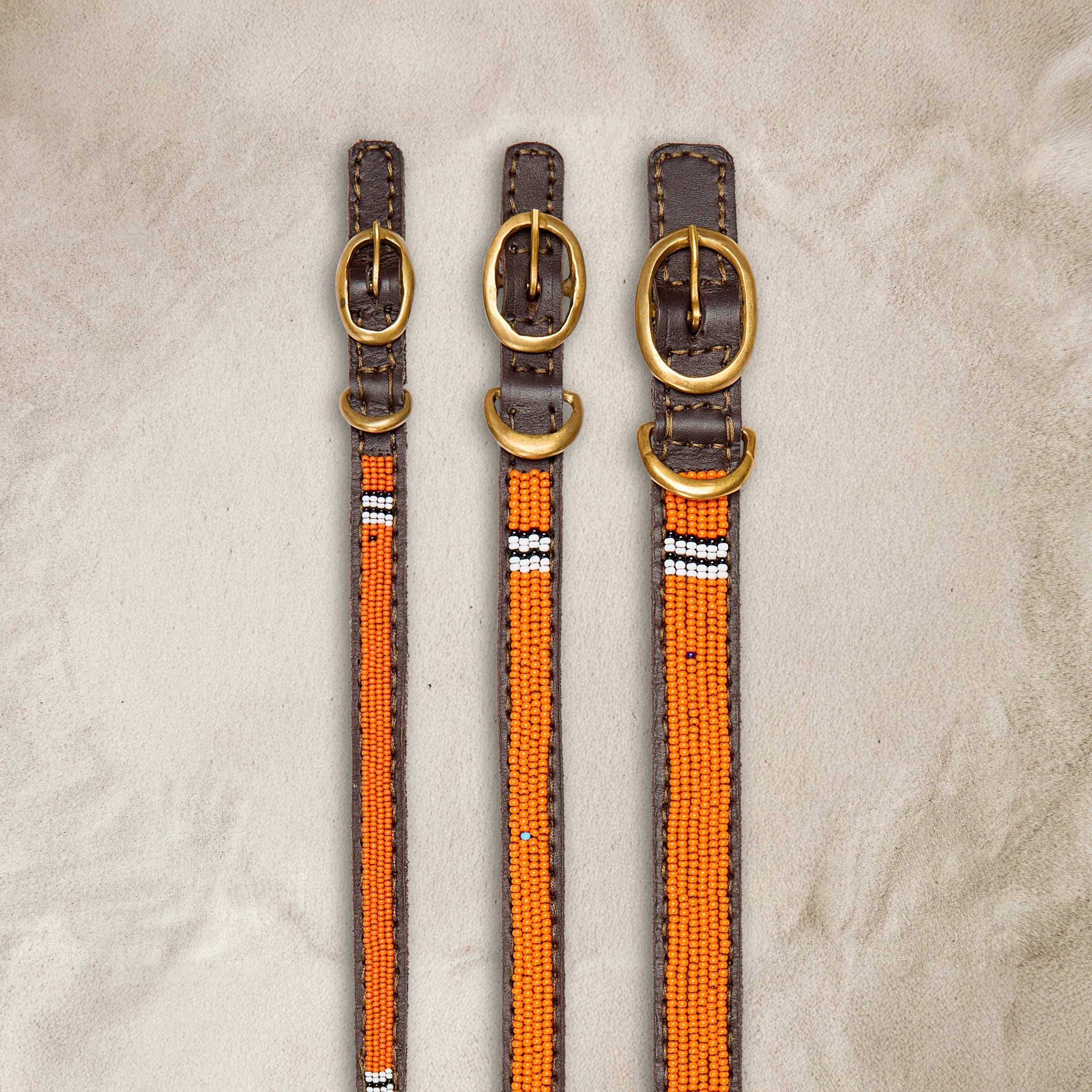 The Samburu Dog Collar