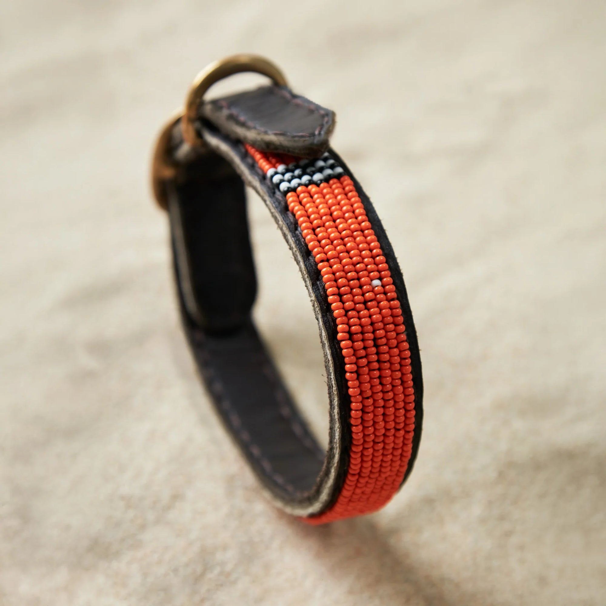 The Samburu Dog Collar