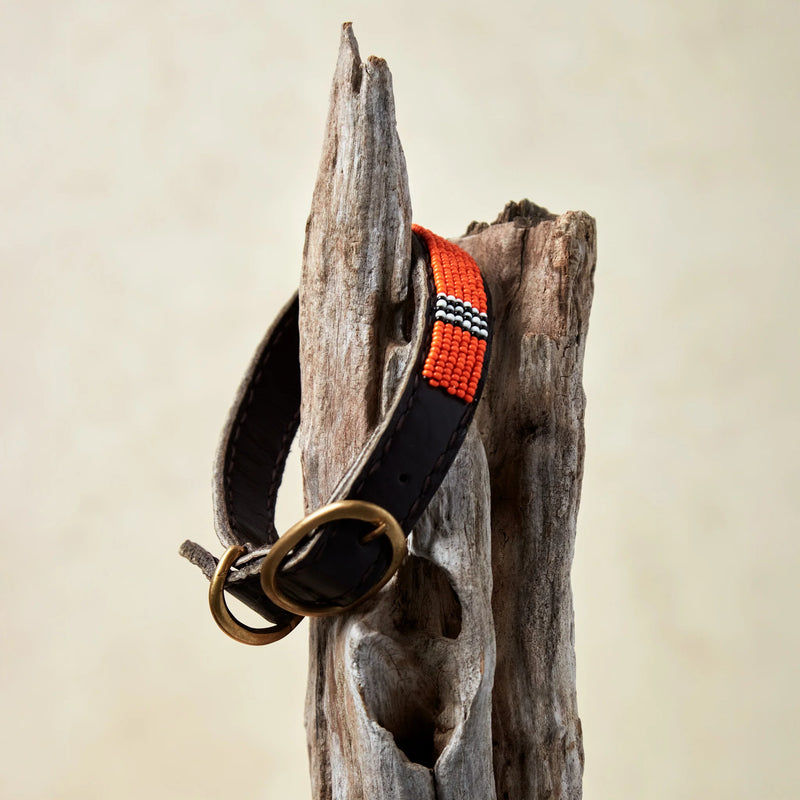 The Samburu Dog Collar
