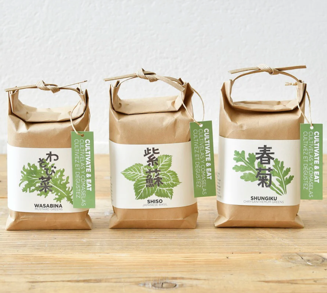 Cultivate & Eat - Basil Set of 3