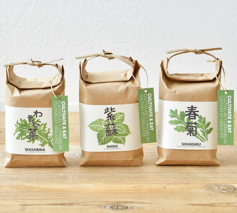Cultivate & Eat - Basil Set of 3
