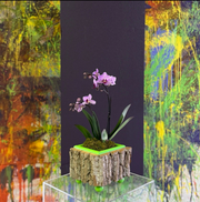 Green Cache Pot