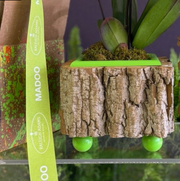 Green Cache Pot