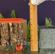 Orange Cache Pot