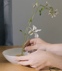 Medium Kenzen Brass Flower Frog