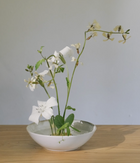 Medium Kenzen Brass Flower Frog