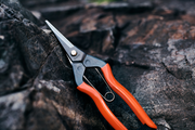 Garden Snips