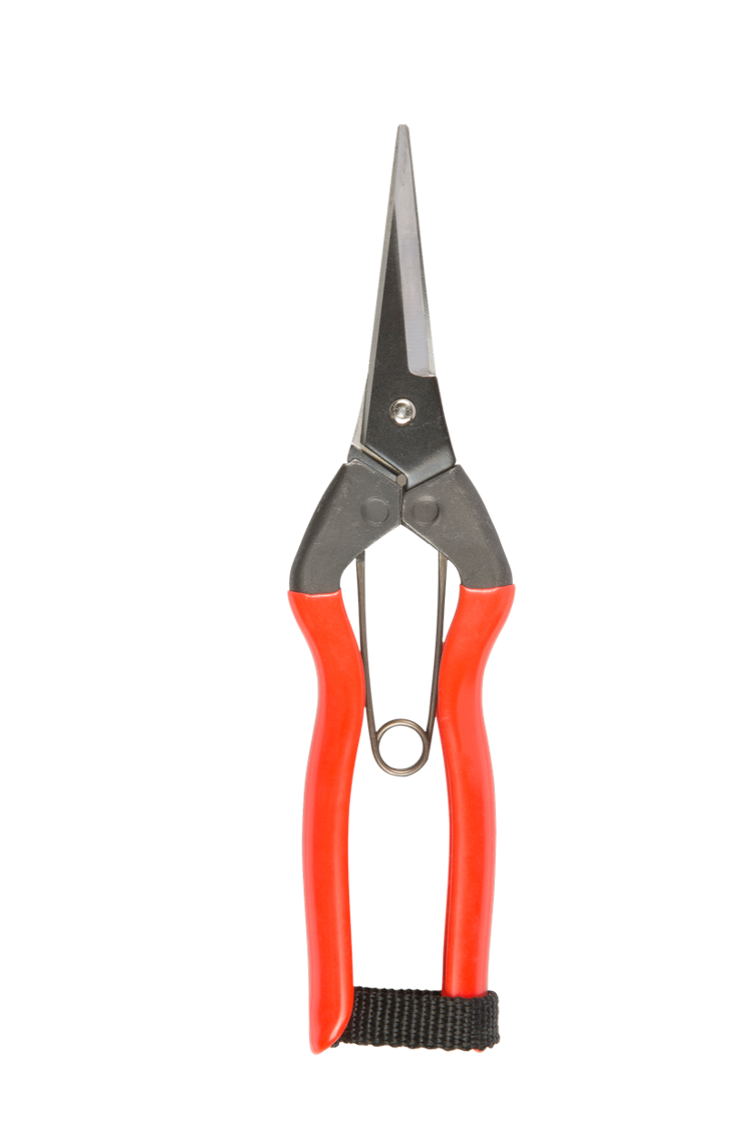 niwaki garden scissors Niwaki Garden Snips