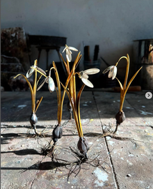 Sterling Silver, Brass, Bronze Botanical Sculpture