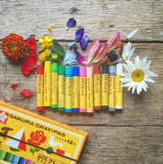 Cray-Pas Crayons