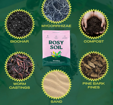 4qt Organic Seedling and Propagation Mix