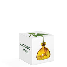 Avocado Vase - Mellow Yellow