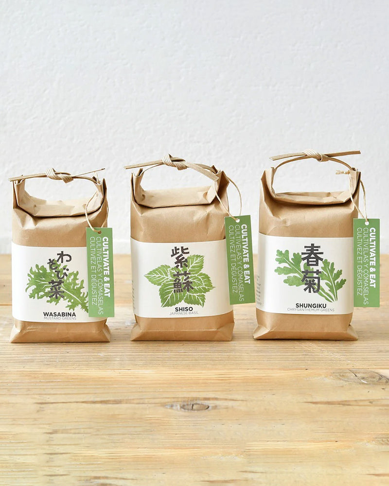 Cultivate & Eat - Basil Set of 3