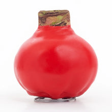 Amaryllis Holiday Bulb