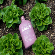 Organic Arber Bio Fungicide 16oz
