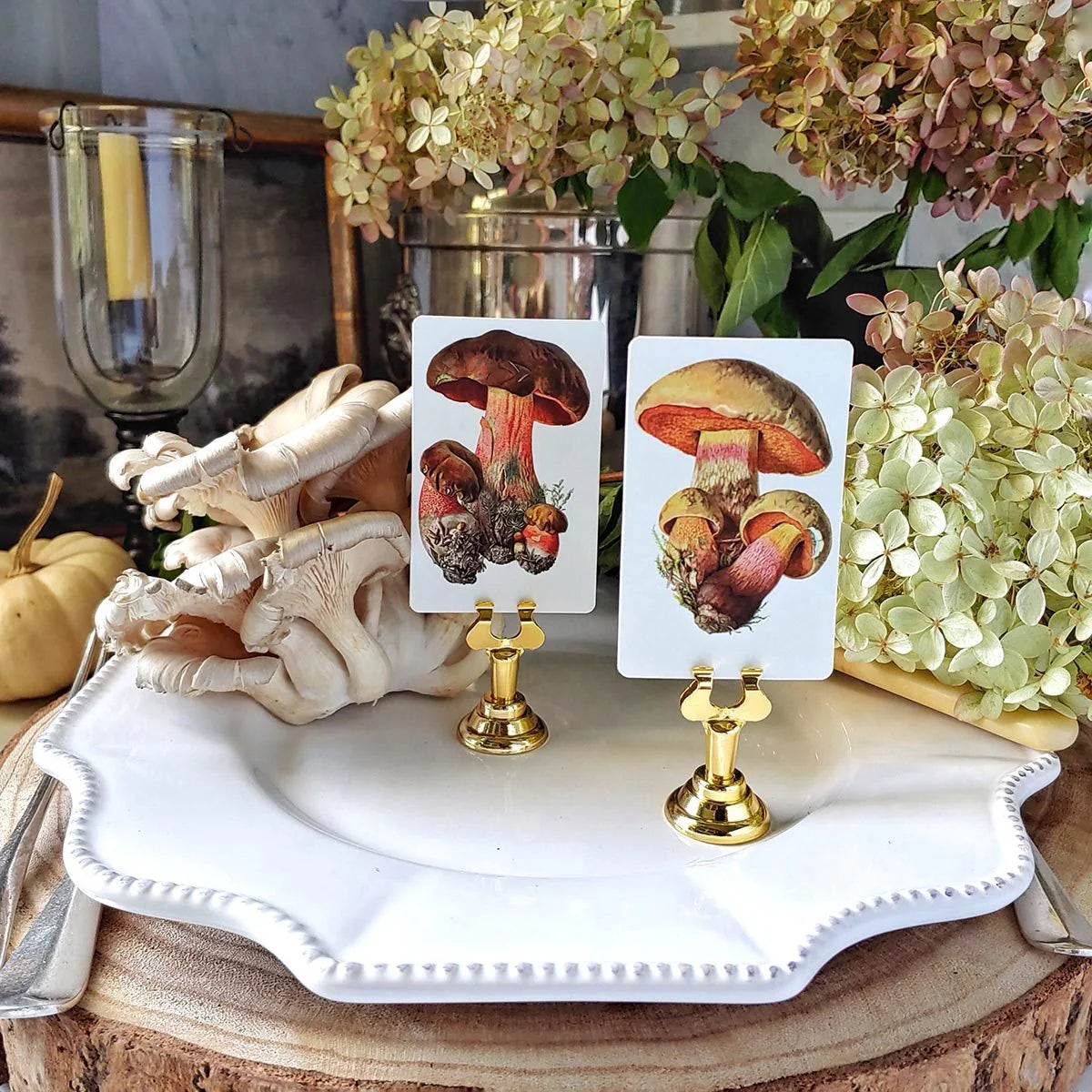 Boletus Beauties - Custom Place Cards- Upright